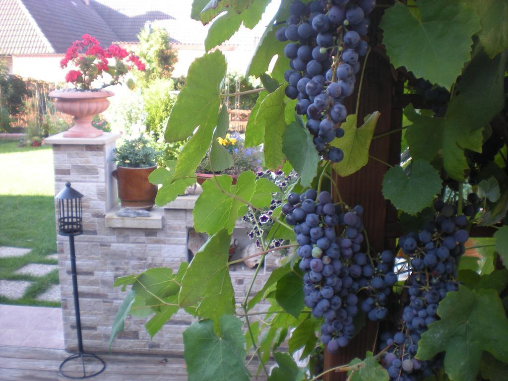Sophia Cozy Self Catering Apartment Dolni Brezany Buitenkant foto