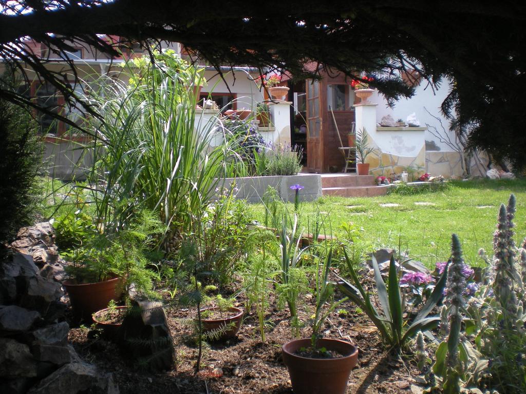 Sophia Cozy Self Catering Apartment Dolni Brezany Buitenkant foto