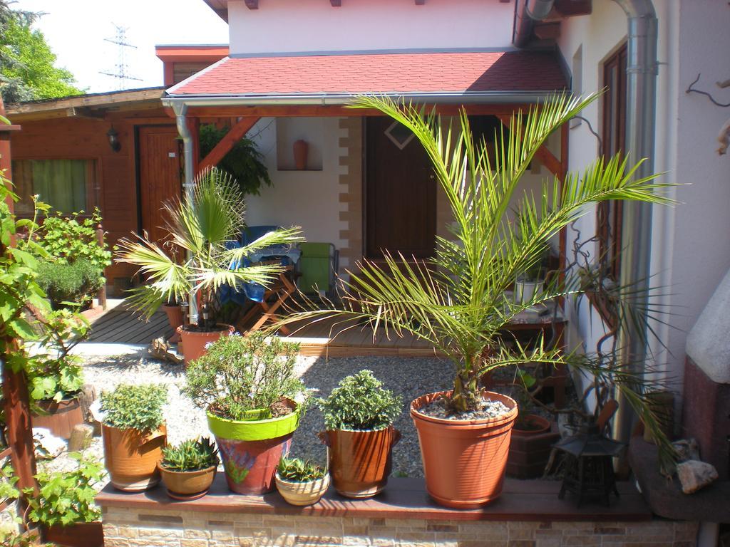 Sophia Cozy Self Catering Apartment Dolni Brezany Buitenkant foto