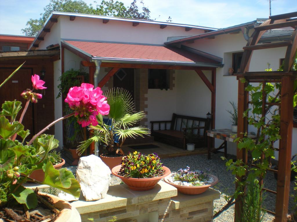 Sophia Cozy Self Catering Apartment Dolni Brezany Buitenkant foto