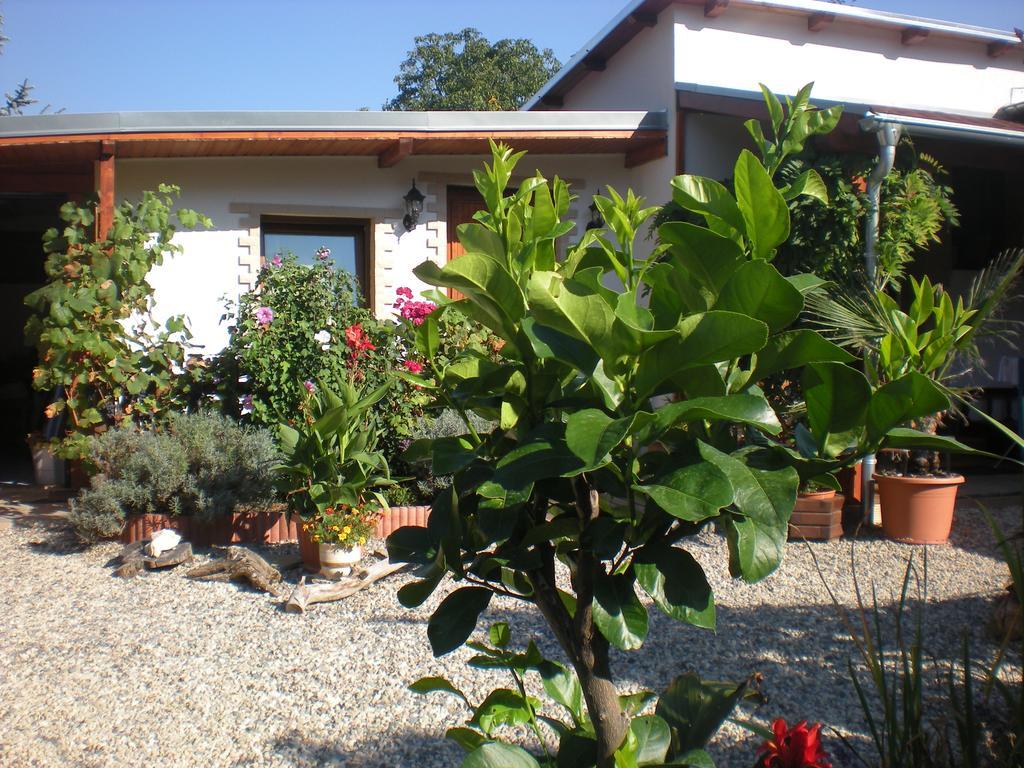 Sophia Cozy Self Catering Apartment Dolni Brezany Buitenkant foto
