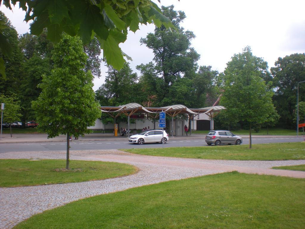 Sophia Cozy Self Catering Apartment Dolni Brezany Buitenkant foto
