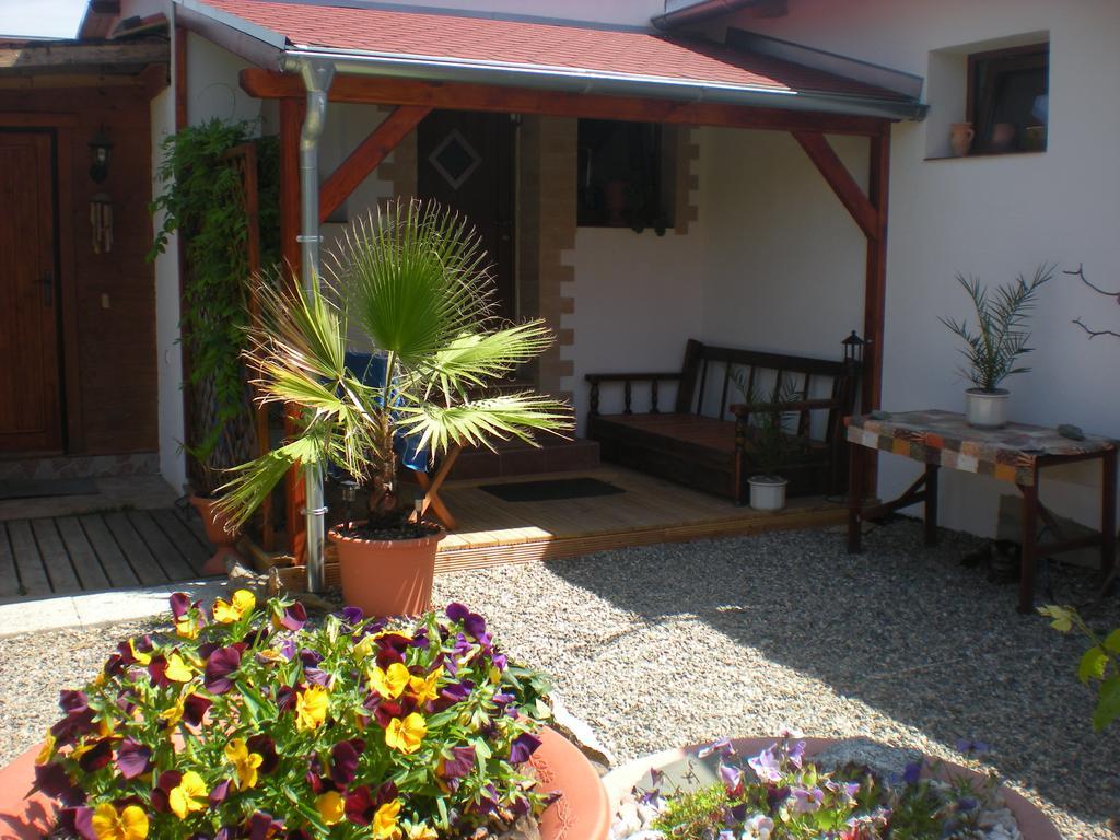 Sophia Cozy Self Catering Apartment Dolni Brezany Buitenkant foto