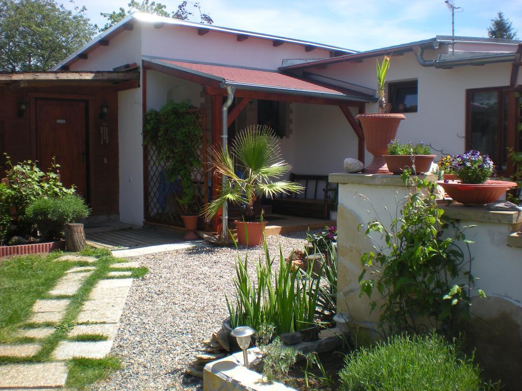 Sophia Cozy Self Catering Apartment Dolni Brezany Buitenkant foto