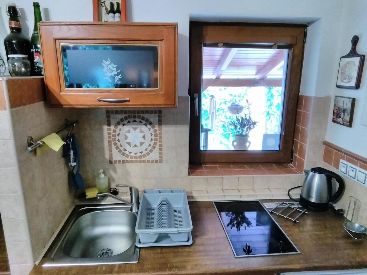 Sophia Cozy Self Catering Apartment Dolni Brezany Buitenkant foto