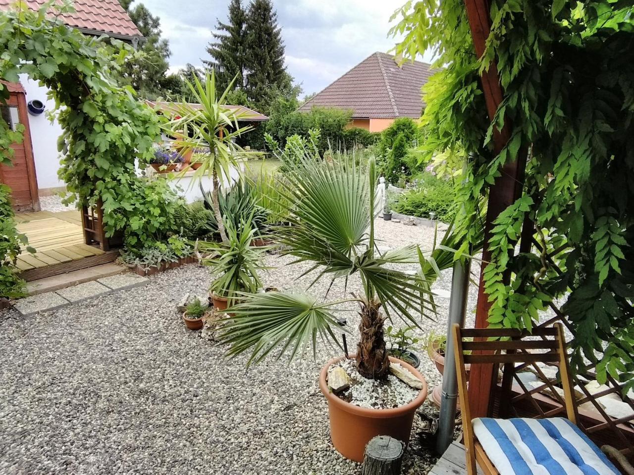 Sophia Cozy Self Catering Apartment Dolni Brezany Buitenkant foto
